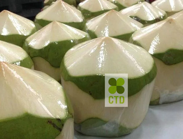 
FRESH GREEN COCONUT_VIETNAM 