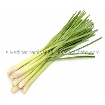 hot sale java citronella oil