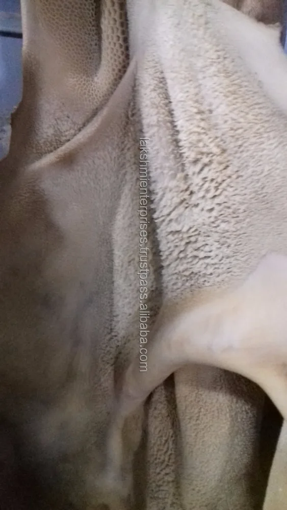 For Sell Frozen Beef Meat Tripe A Grade High Quality