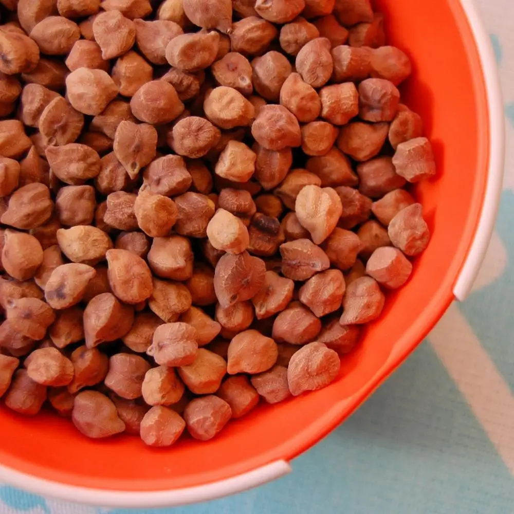 
CHANA FROM NIK-MAY EXPORTS LLP INDIA 