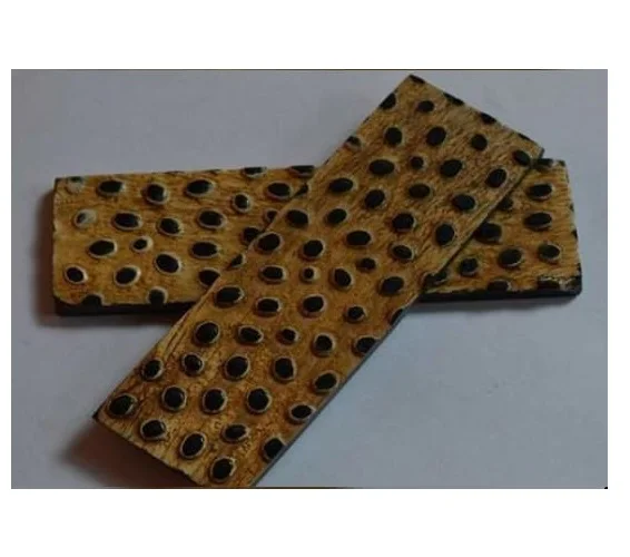 HORN KNIFE HANDLE SCALE