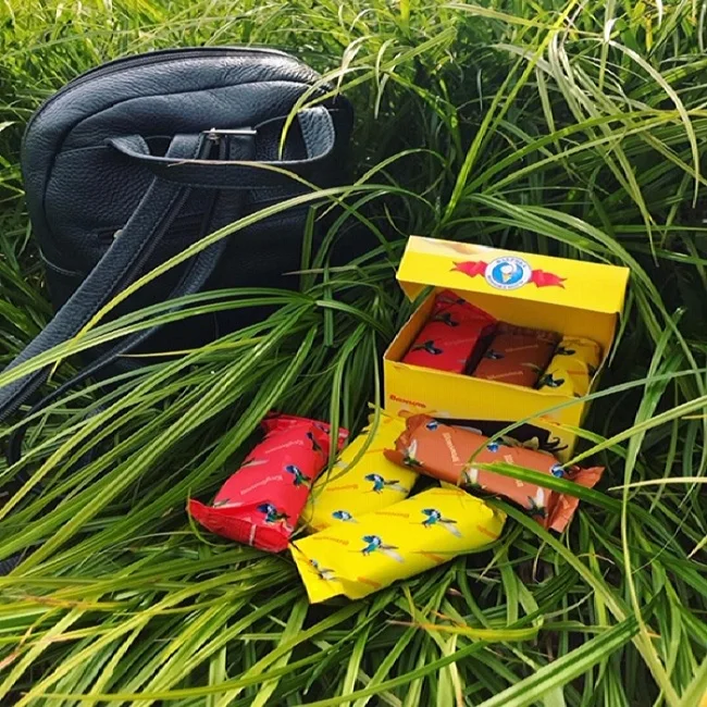 
Vanilla ice cream-souffle in chocolate coating Royal bird 