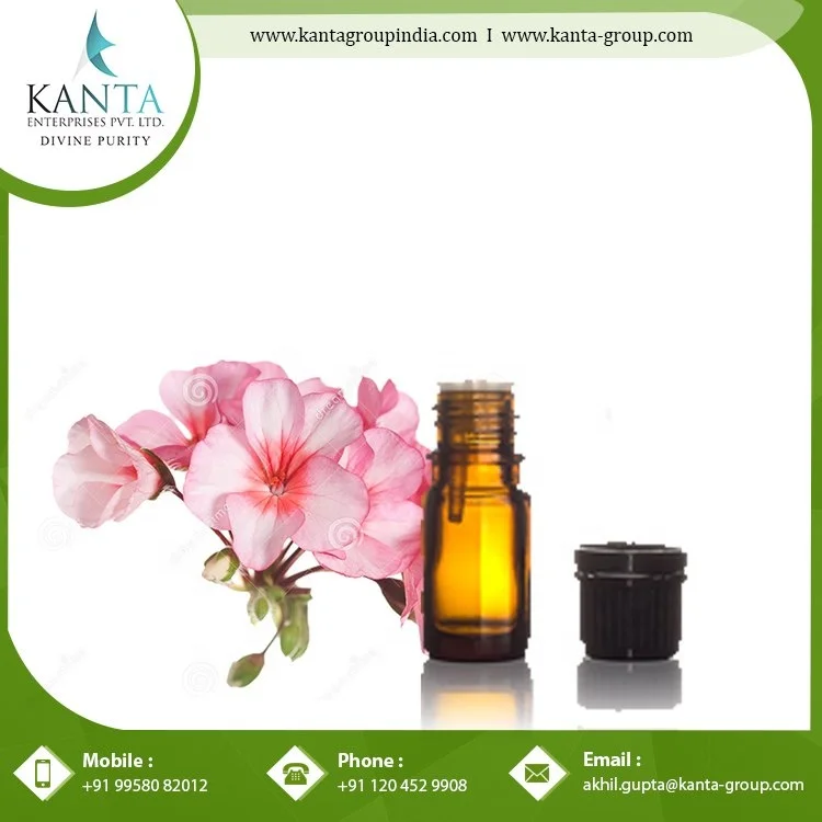 Good Quality Geranium Essential Oil Used for Skin care and Hair Care Direct Factory Supply from India