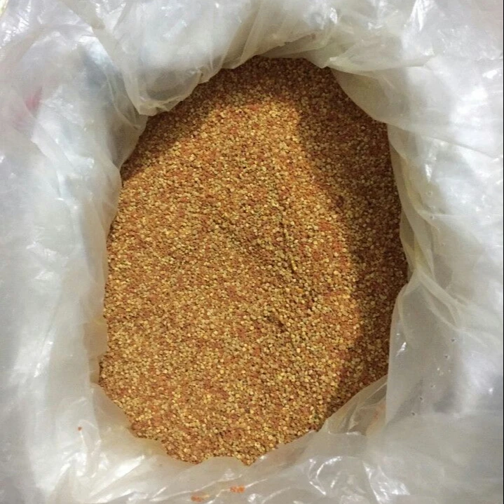 Top Quality 2023 - BEE POLLEN with COMPETITIVE PRICE from Vietnam