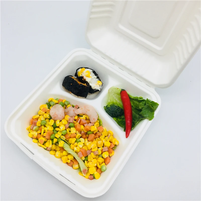 
compostable sugarcane food box food packaging with compartment 