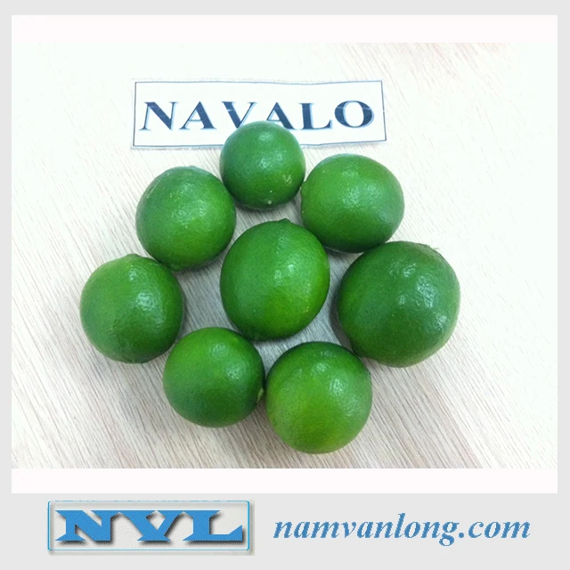 
FRESH LIME WITH HIGH QUALITY AND BEST PRICE 
