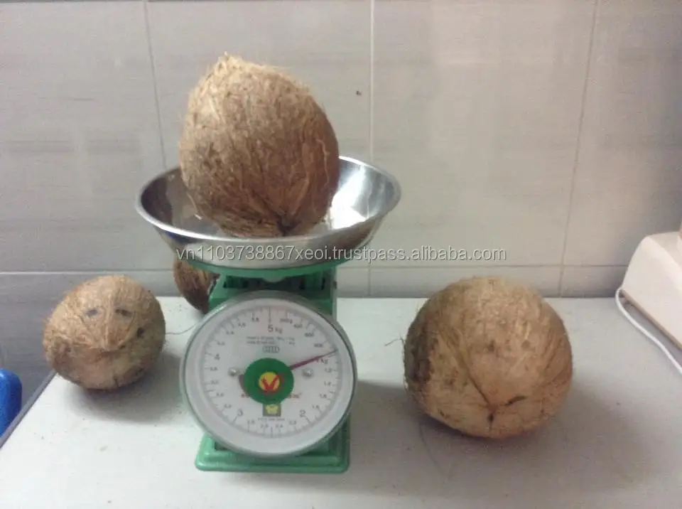 
Coconut copra/semi husked coconut/Mature coconut in 2020 