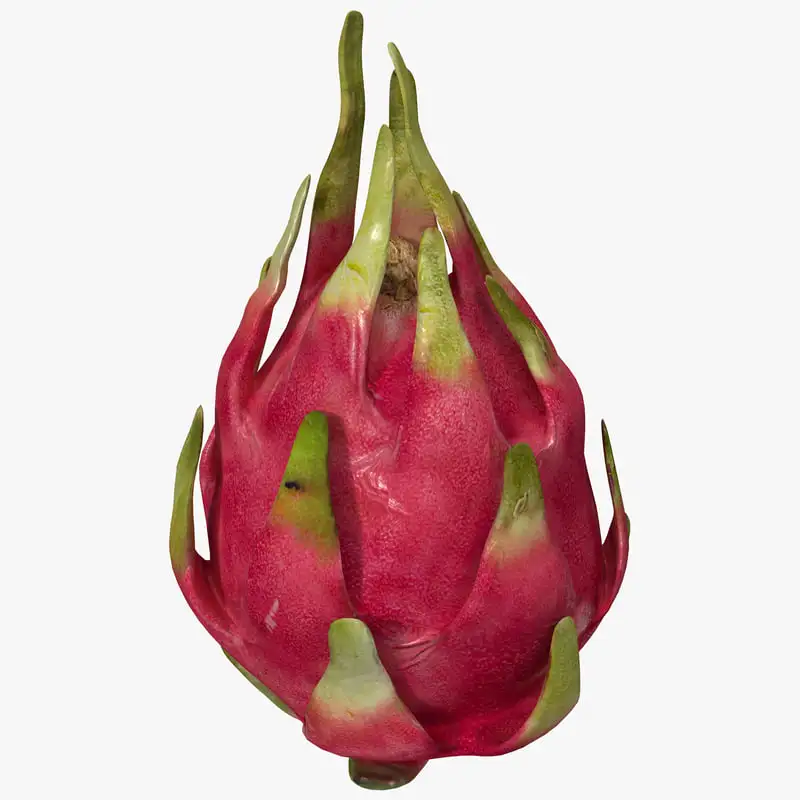 
Vietnamese red/white flesh fresh dragon fruit for sale with cheap price 