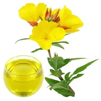 Evening Primrose Oil Wholesale Supplier Organic Carrier Oil Cold Pressed Evening primrose oil at best price for Skin care