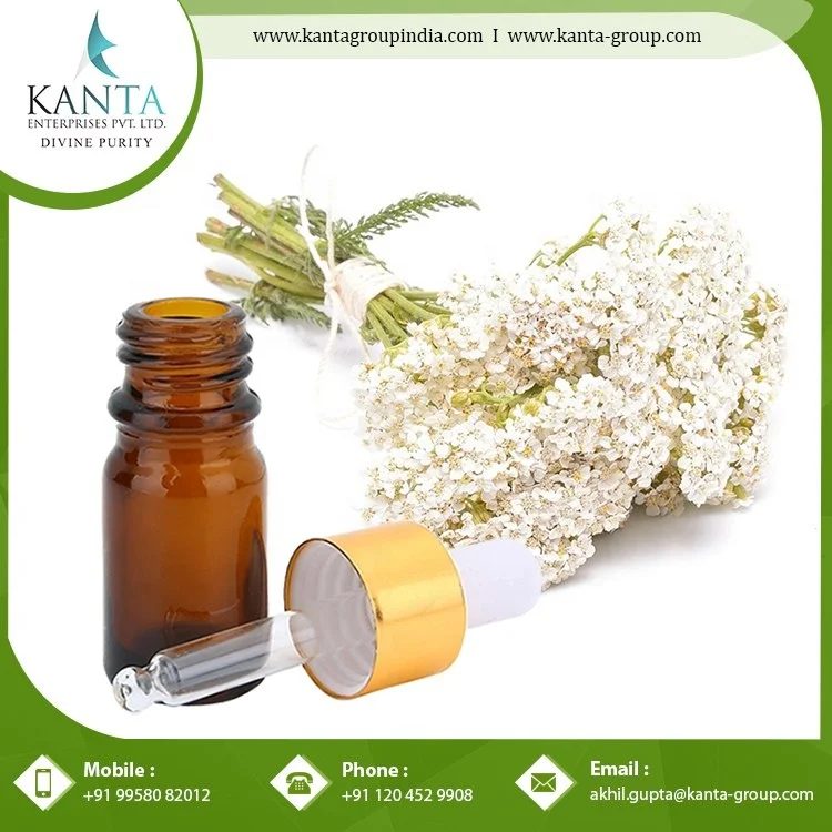 Private Label OEM / ODM Supply 100% Original Yarrow Essential Oil Buy at Wholesale Price