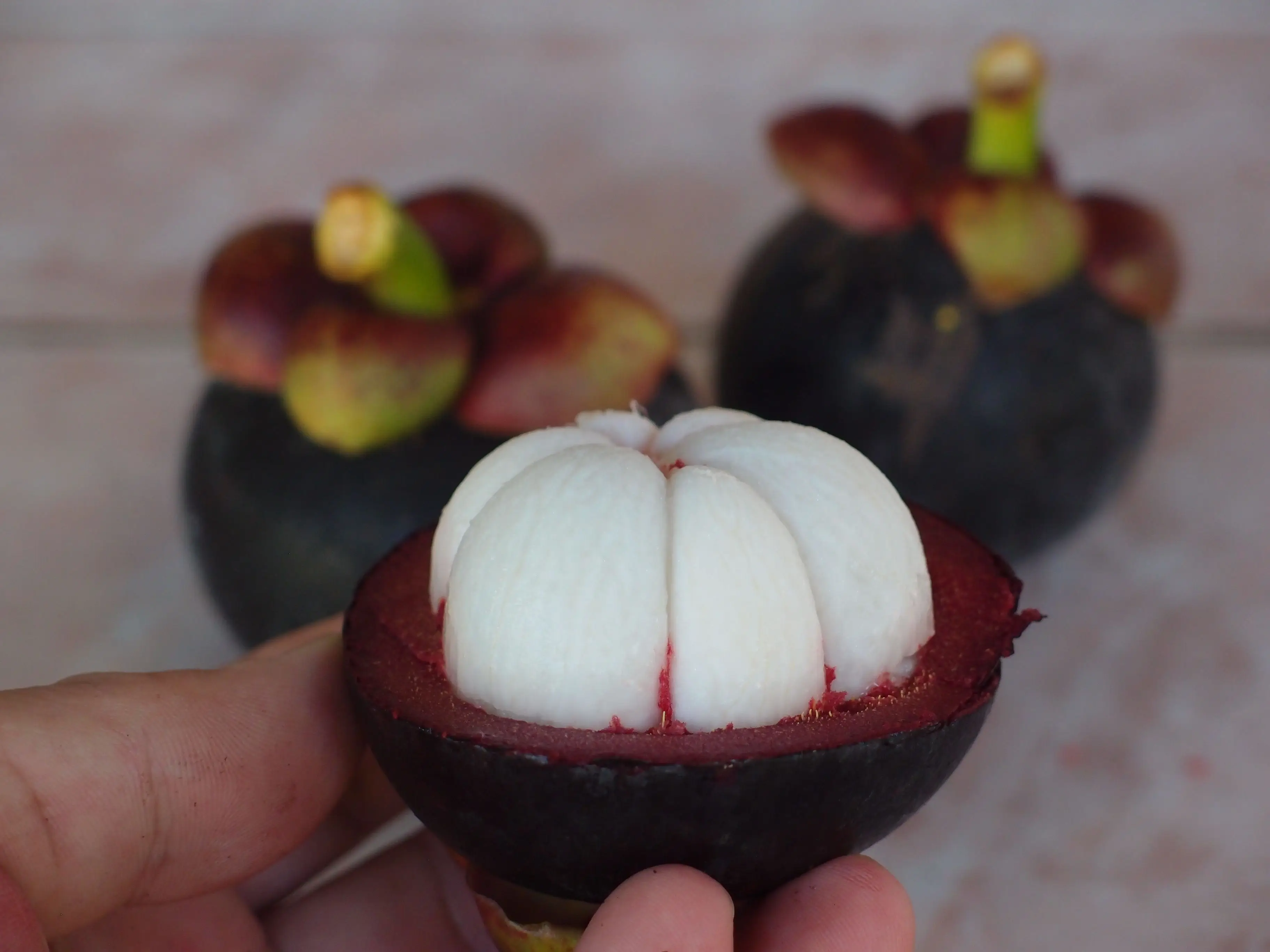 WHOLESALE VIETNAM FRESH MANGOSTEEN FOR IMPORTERS / WHATSAPP +84 845 639 639