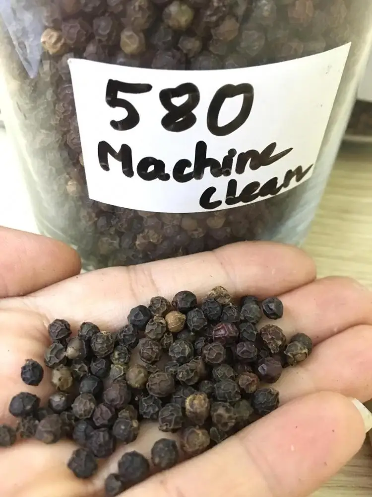DRIED BLACK PEPPER 550/560/570/580GL ORIGINAL FROM VIETNAM