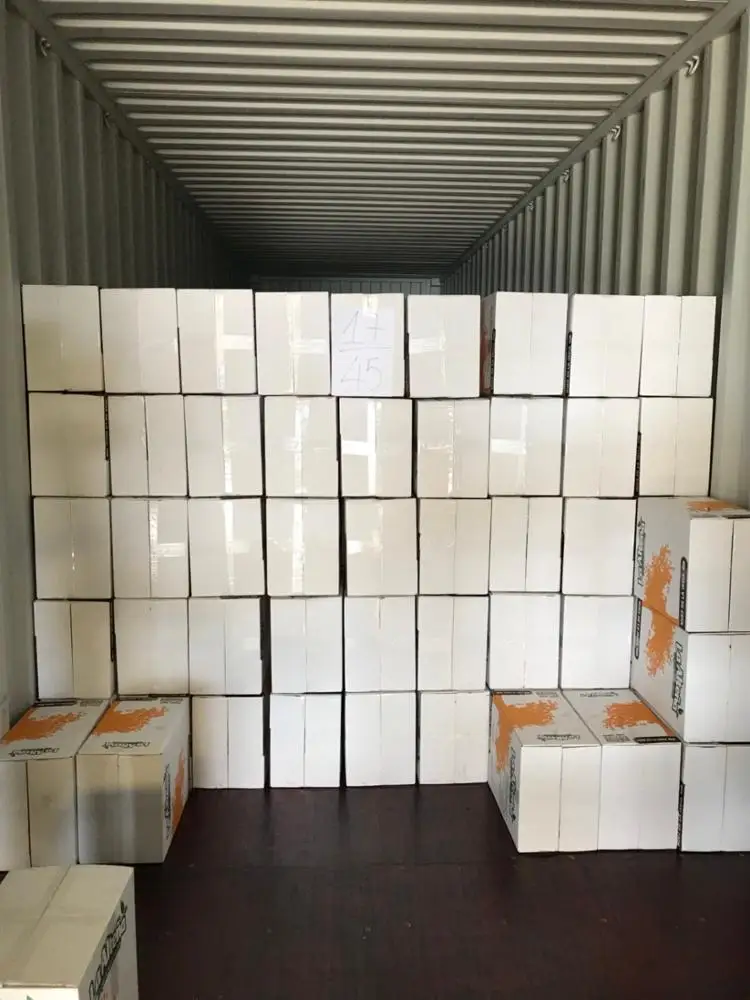 
VIETNAM CASHEW NUTS/ WHITE WHOLE KERNELS WW240 