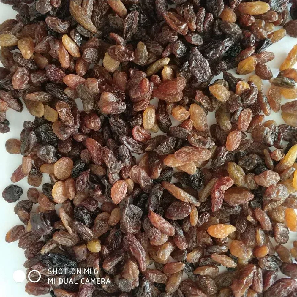high quality wholesale  xinjiang natural dried raisin dry grape