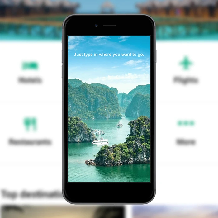 Лучшая компания по разработке приложений для путешествий из Индии | Ведущая компания по проектированию и развитию приложений для путешествий в Индии-Protolabz, электронные услуги