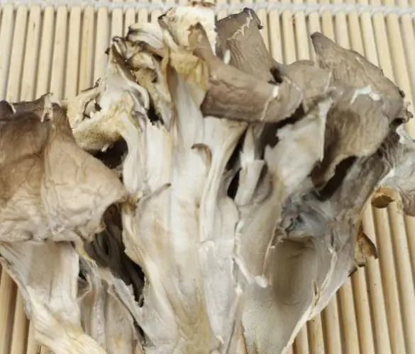 Natural dried Dancing Mushroom Grifola Hen of the Woods Shelf Fungi for food