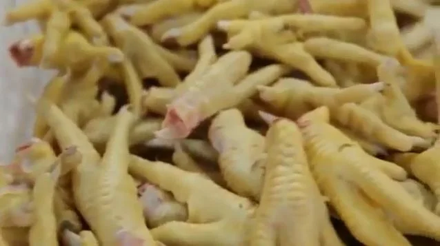 
Top Quality Frozen Chicken feet 