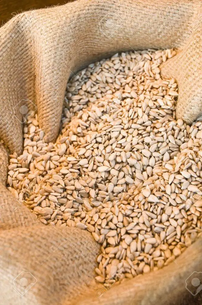 Confectionary Sunflower Kernels Bakery Top Grade Wholesale Sunflower Seeds For Sale In Cheap Price