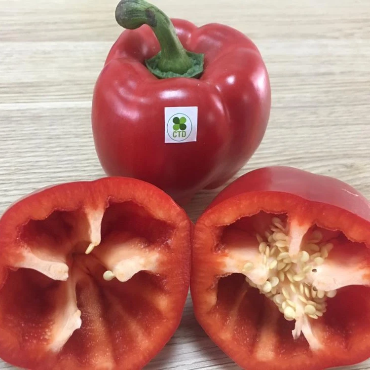 
red bell pepper from vietnam processor 