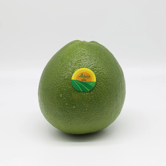 HIGH QUALITY GREEN SKIN POMELO FROM VIET NAM