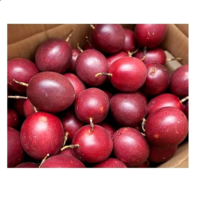 Cheapest Fresh freeze passion fruit in the world