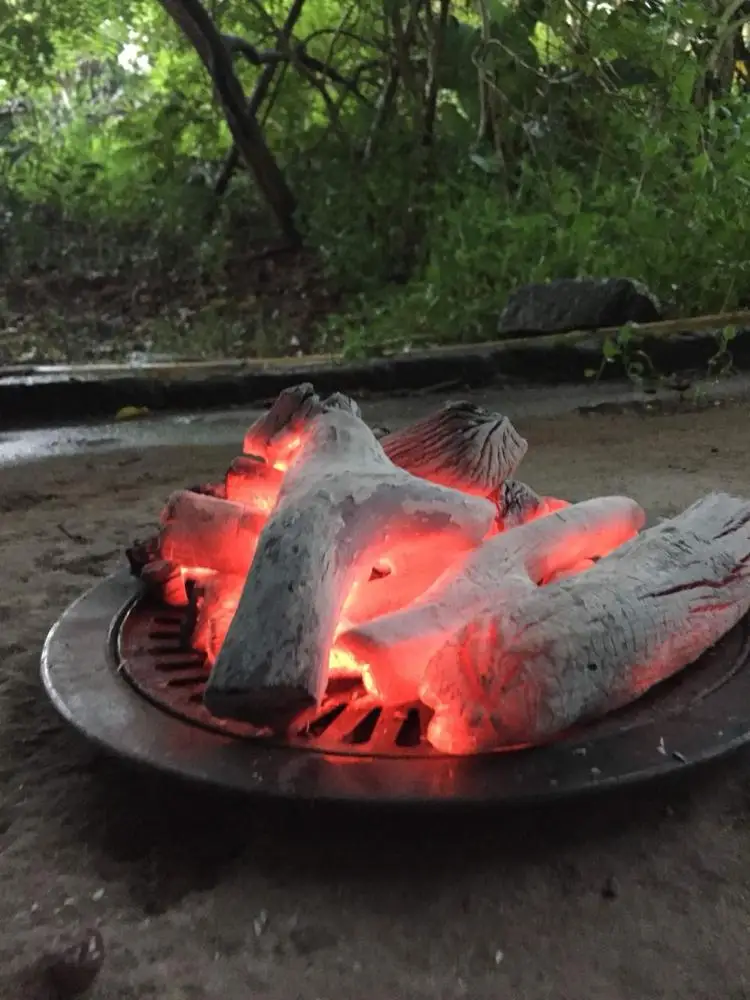 
BIGGEST PROMOTION: HIGHEST GRADE BINCHOTAN WHITE CHARCOAL FOR BBQ 