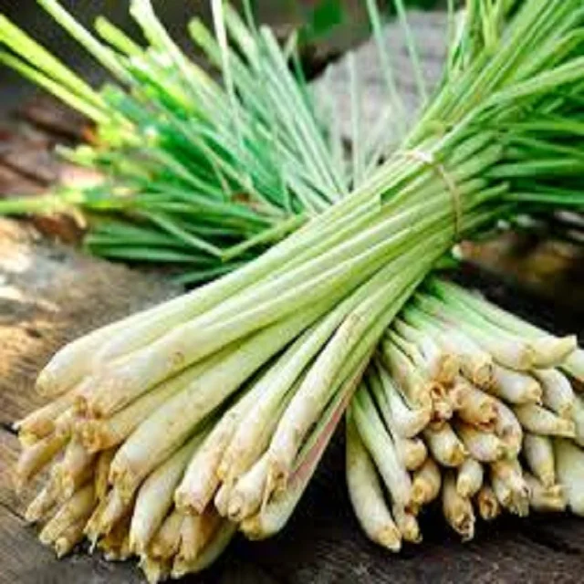LEMON GRASS BEST QUALITY , GOOD PRICE !
