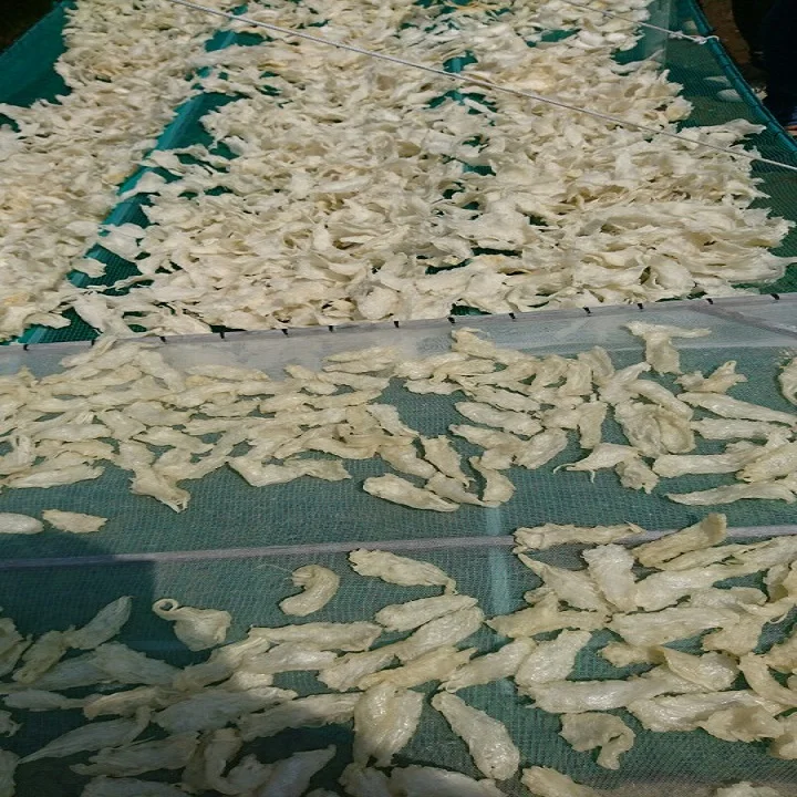 
Dry FISH MAWS TOP QUALITY ORIGIN VIETNAM Bulk Piece HACCP 