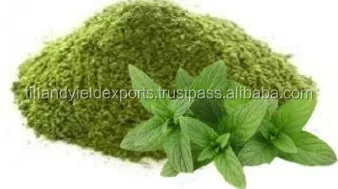 Mentha Arvensis - Mint - Mentha -Pudina Powder Many Stomach Disorders Inflammation And Treatment Of Fever Headache Cold