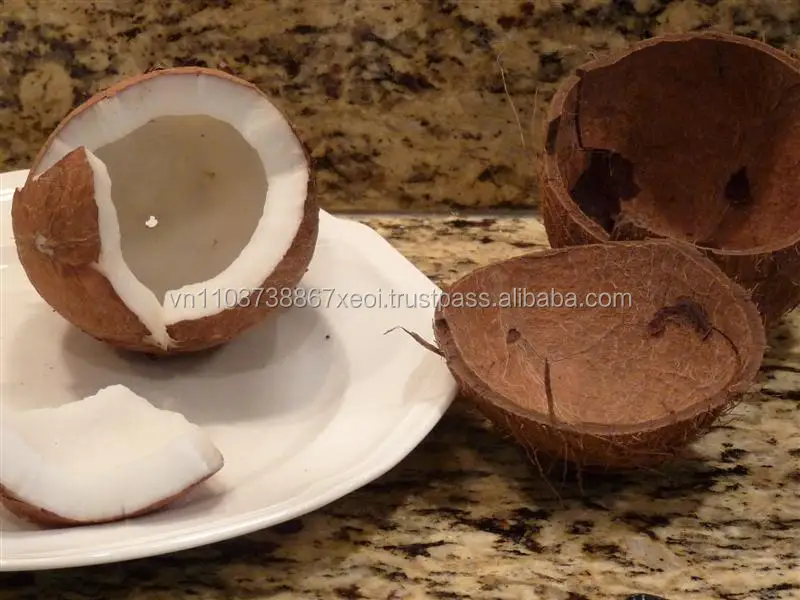 
Coconut copra/semi husked coconut/Mature coconut in 2020 
