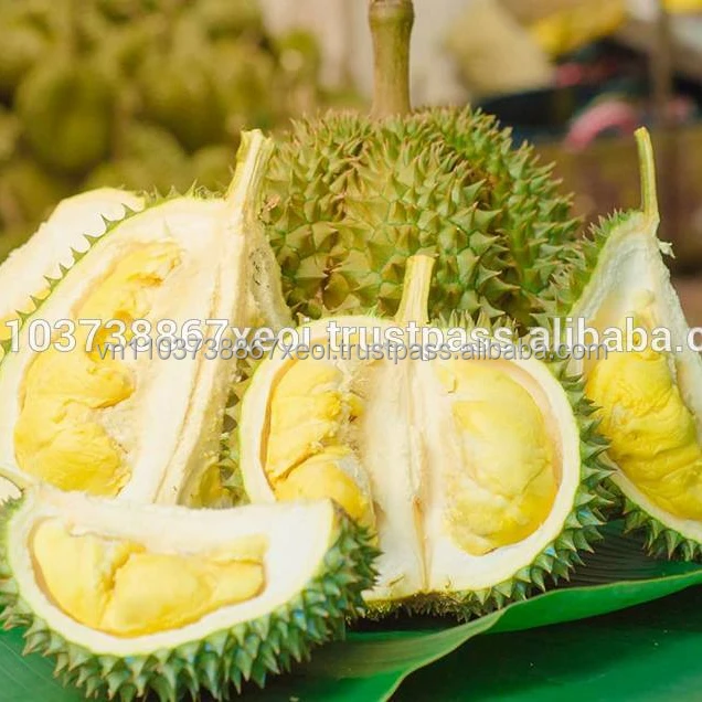 
IQF DURIAN MEAT SUPPLIERS VIETNAM in 2020 