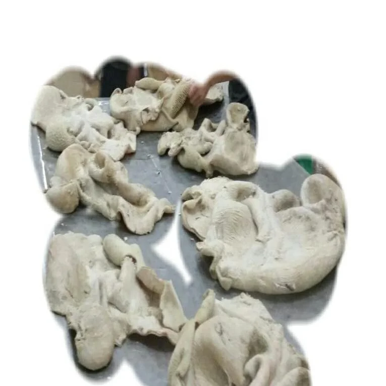 Frozen Beef Tripe & Beef Honeycomb Beef Omasum