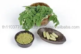 
Dried, Powder, Oil moringa 100% Natural Product of Thailand 