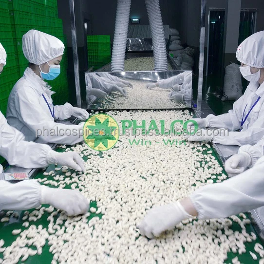 Орехи кешью Вьетнам происхождение W320