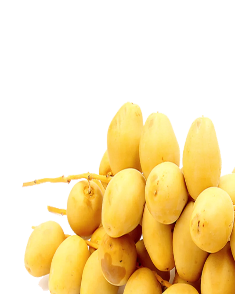 
it has a balanced sweet taste // BRAHI DATES FROM EGYPT 