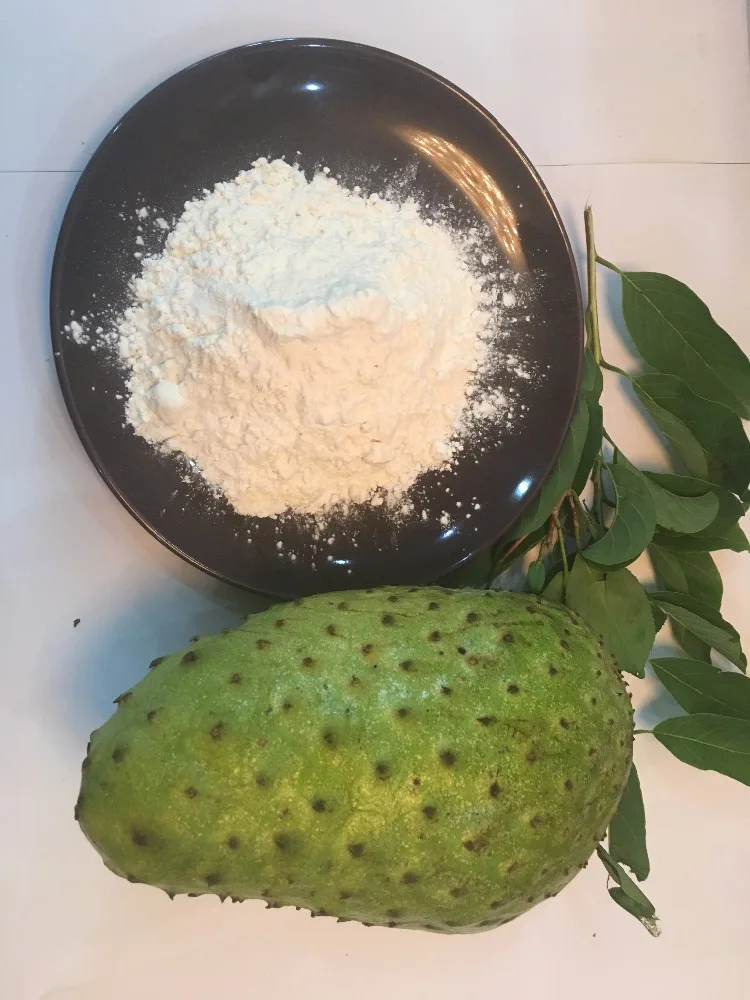 
FRUIT EXTRACT POWDER FOR FOOD INDUSTRY THE BEST PRICE 