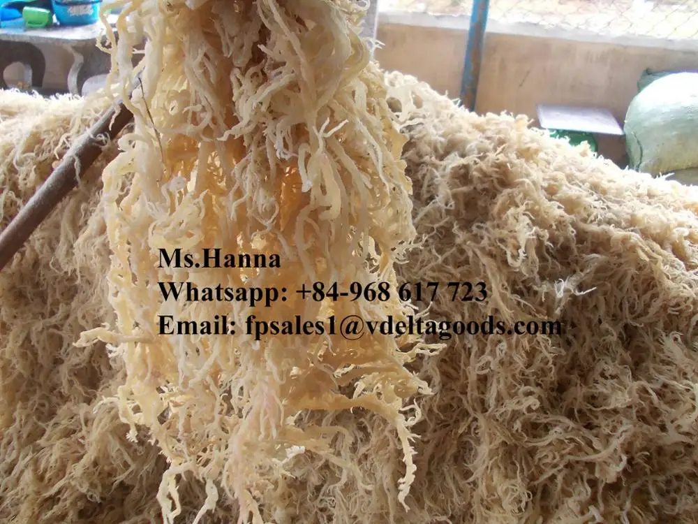 Морские водоросли Spinosum/Eucheuma cottonii