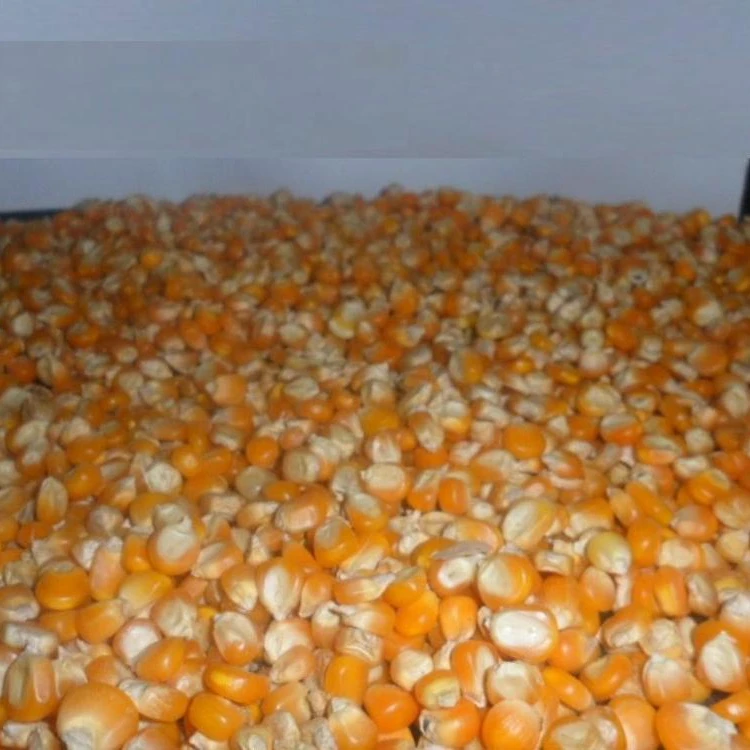 Высококачественная поп-кукуруза/Сладкая