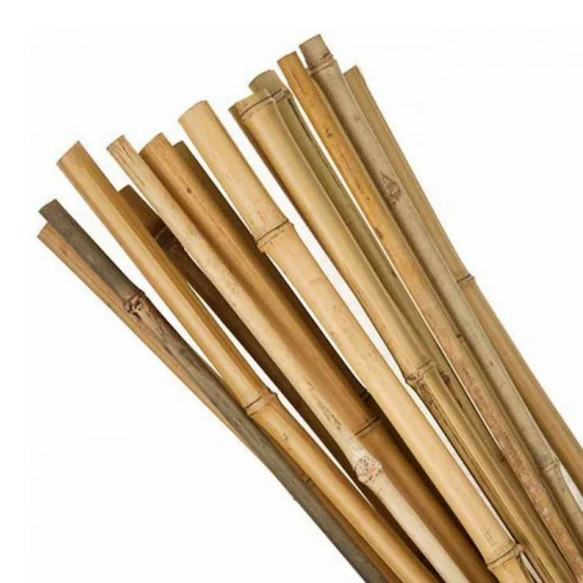 
bamboo stick stake for flower nursery plant support 