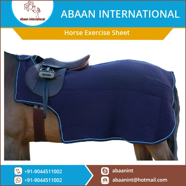 Best Selling Horse Exercise Sheet at Reasonable Rate