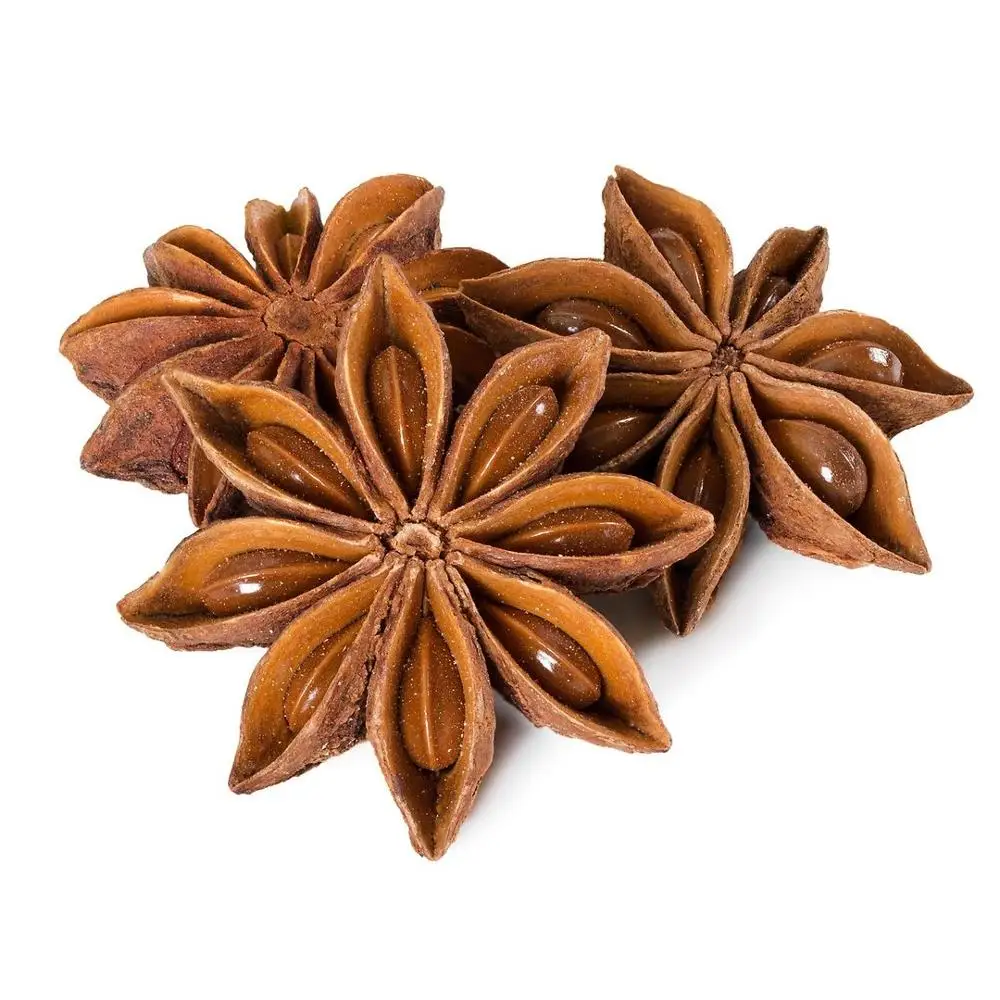 Dried Star Aniseed/Anise seeds with stems spices