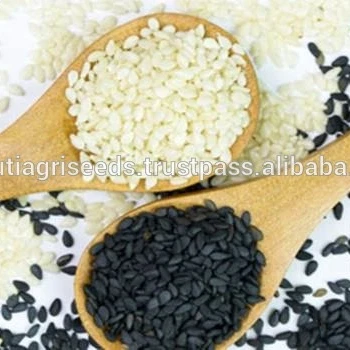 
SIMSIM SEEDS FOR Afghanistan 