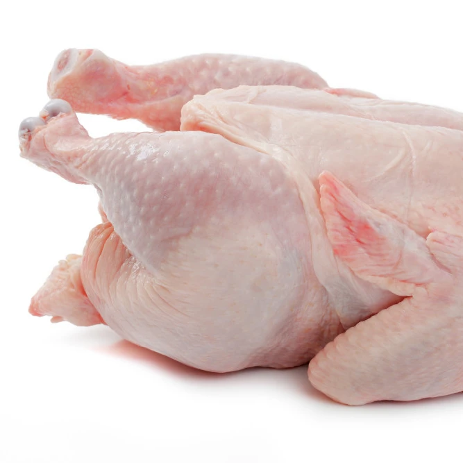 BRAZILIAN HALAL FROZEN WHOLE CHICKEN SUPPLIERS