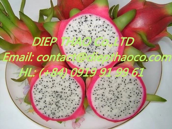 Dried dragon fruit taste crunchy or soft / dried red pitaya from Vietnam