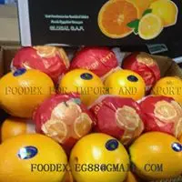 Свежий Египетский оранжевый/оранжевый пупок экспортного качества/качественный оранжевый для продажи