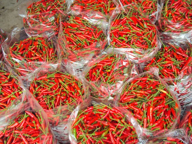 WHOLE SALE CHILI FROZEN/ HOT RED CHILI+84-845-639-639 (Whatsapp)
