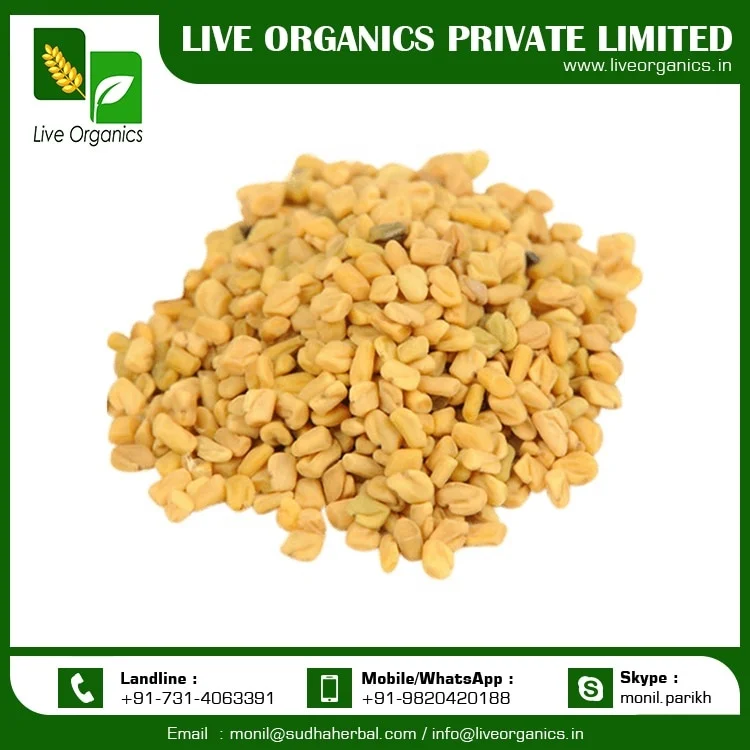 
Fenugreek Seeds from India 