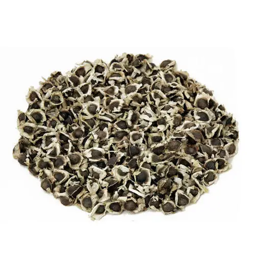 
India organic natural dried moringa seed 