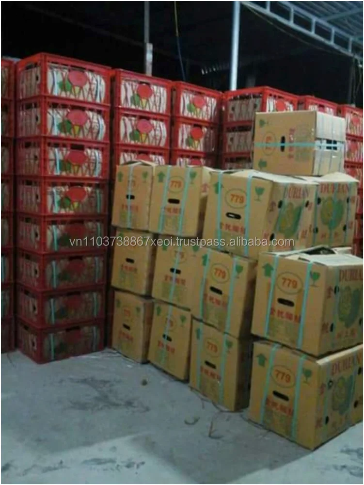
IQF DURIAN MEAT SUPPLIERS VIETNAM in 2020 