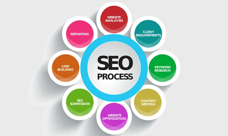 
SEO, Digital Marketing, Email Newsletter 